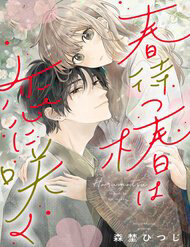 hoa-tra-doi-xuan-no-yeu-thuong-thumb