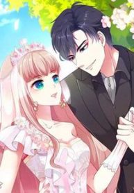 bang-son-tong-tai-sung-the-den-vo-dao-thumb