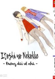 itoshi-no-nekokke-duong-dai-ve-nha-thumb