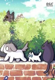 khi-loai-meo-lam-ba-chu-the-gioi-thumb