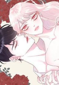 tinh-dau-cua-ma-ca-rong-thumb