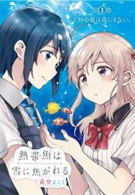 a-tropical-fish-yearn-for-snow-thumb