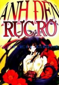 anh-den-ruc-ro-thumb