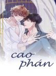 cao-phan-thumb