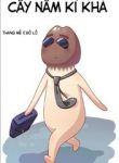 cay-nam-ki-kha-thumb