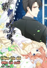 tong-tai-ba-dao-la-gay-thumb